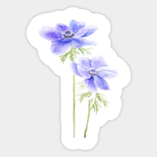 2 purple anemone watercolor Sticker